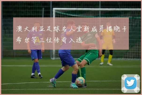 澳大利亚足球名人堂新成员揭晓卡希尔等三位传奇入选