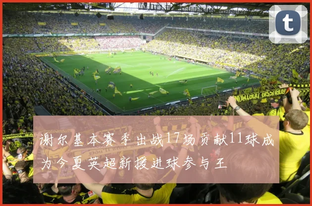 谢尔基本赛季出战17场贡献11球成为今夏英超新援进球参与王
